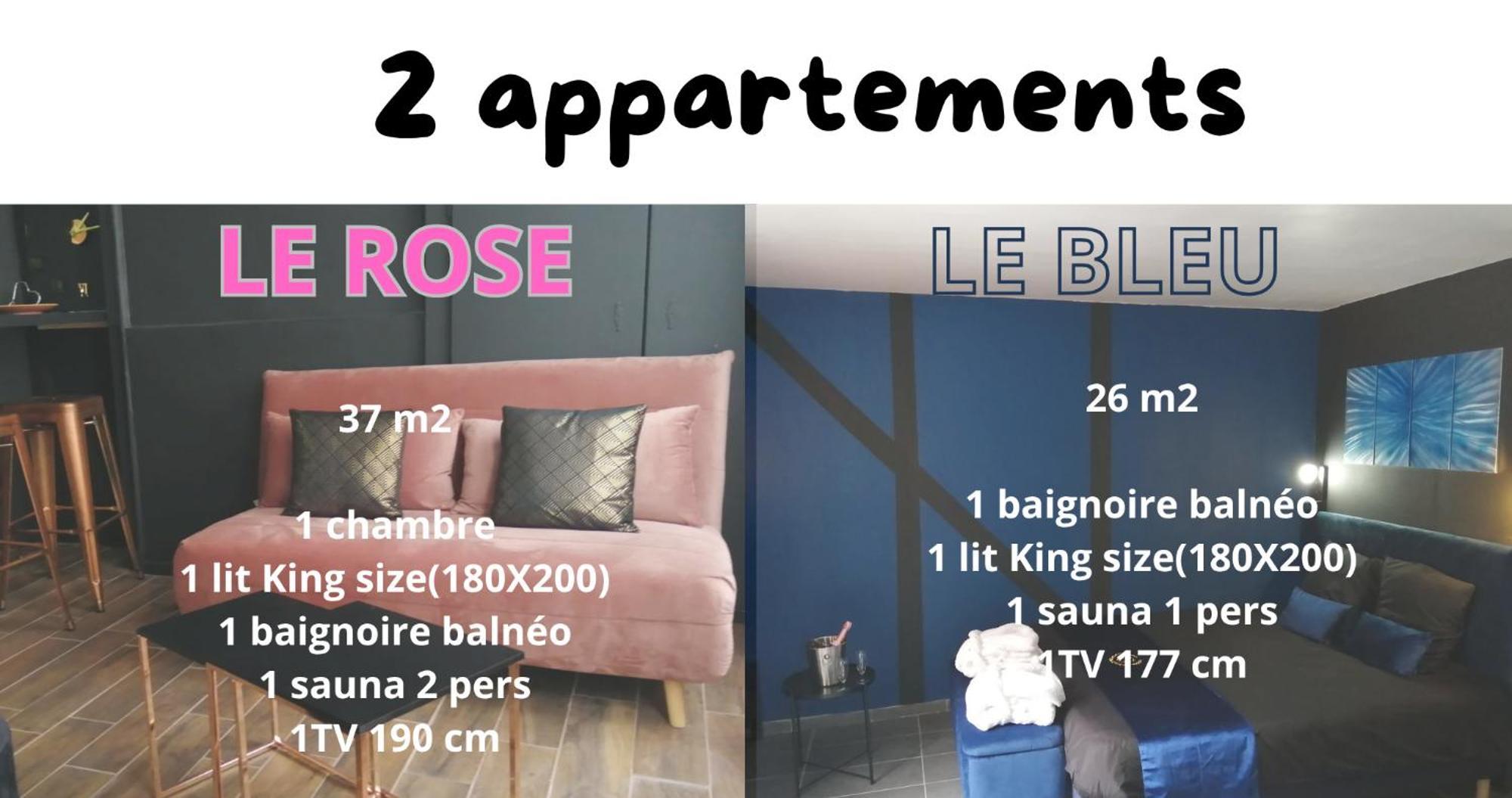 Appartements Avec Balneo Et Sauna Privatif - Troyes Centre Троа Екстериор снимка